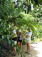 004 Jardin Botanique